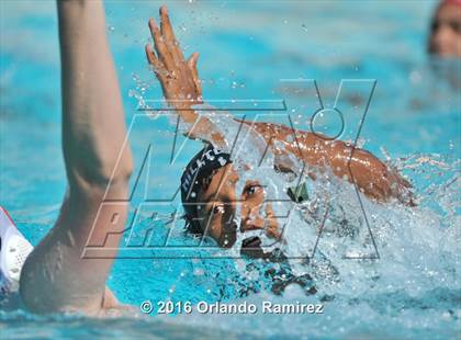 Thumbnail 1 in Olympian @ Hilltop photogallery.