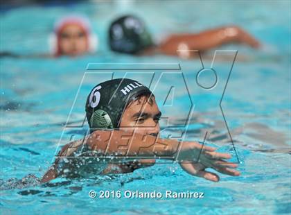 Thumbnail 2 in Olympian @ Hilltop photogallery.