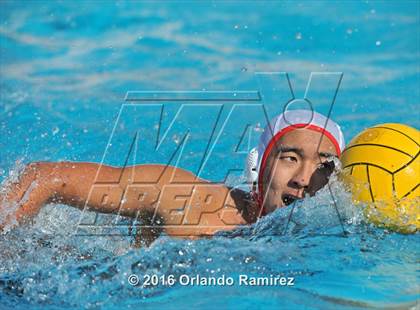 Thumbnail 2 in Olympian @ Hilltop photogallery.
