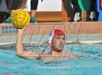 Thumbnail 1 in Olympian @ Hilltop photogallery.