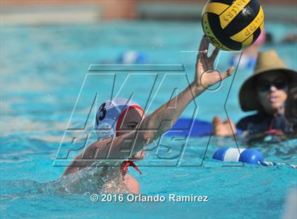 Thumbnail 1 in Olympian @ Hilltop photogallery.