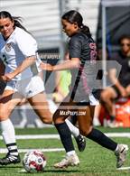 Photo from the gallery "Cottonwood @ Jordan"