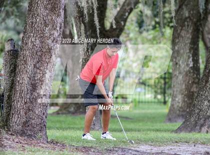 Thumbnail 2 in Hudson vs Fivay vs Zephyrhills photogallery.