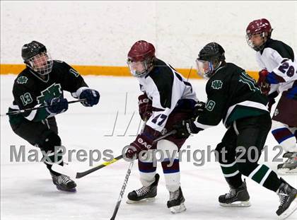 Thumbnail 2 in New Milford vs. Brookfield/Bethel/Danbury (SWC Semifinal) photogallery.