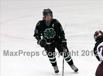 Thumbnail 2 in New Milford vs. Brookfield/Bethel/Danbury (SWC Semifinal) photogallery.