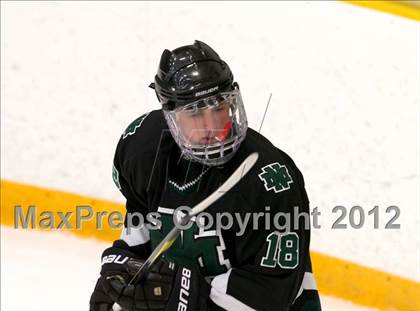 Thumbnail 2 in New Milford vs. Brookfield/Bethel/Danbury (SWC Semifinal) photogallery.