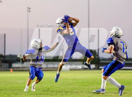 Thumbnail 2 in Brock @ Peaster photogallery.