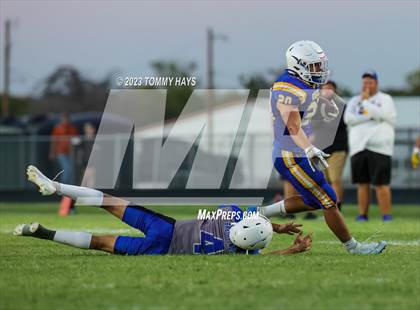 Thumbnail 3 in Brock @ Peaster photogallery.
