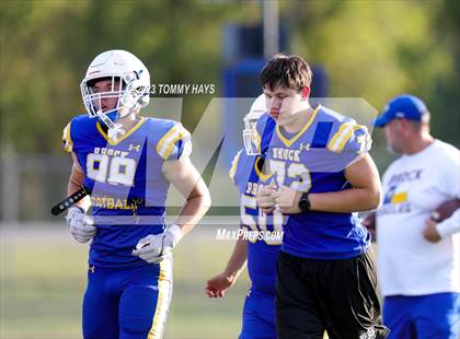 Thumbnail 1 in Brock @ Peaster photogallery.