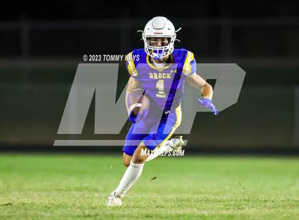 Thumbnail 2 in Brock @ Peaster photogallery.