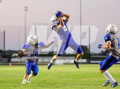 Thumbnail 1 in Brock @ Peaster photogallery.