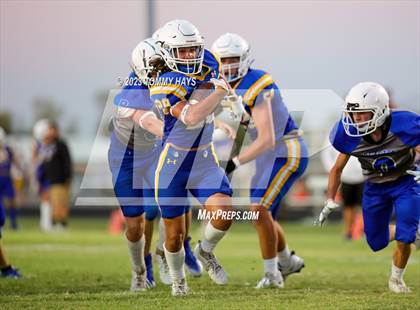 Thumbnail 1 in Brock @ Peaster photogallery.