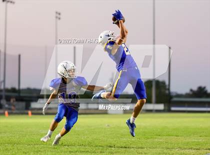 Thumbnail 2 in Brock @ Peaster photogallery.
