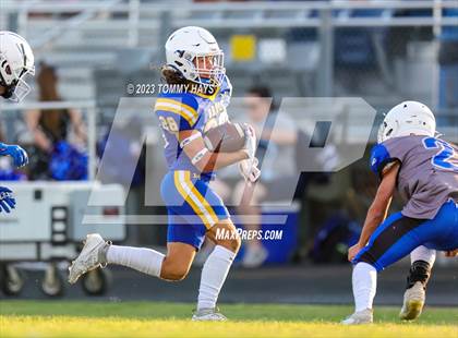 Thumbnail 3 in Brock @ Peaster photogallery.