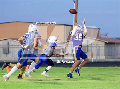 Thumbnail 3 in Brock @ Peaster photogallery.