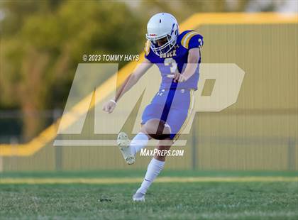 Thumbnail 1 in Brock @ Peaster photogallery.