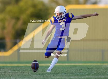 Thumbnail 2 in Brock @ Peaster photogallery.