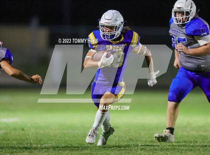 Thumbnail 3 in Brock @ Peaster photogallery.