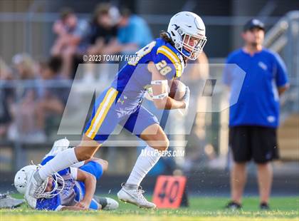 Thumbnail 1 in Brock @ Peaster photogallery.