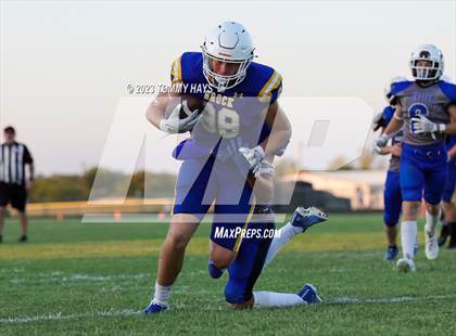 Thumbnail 1 in Brock @ Peaster photogallery.