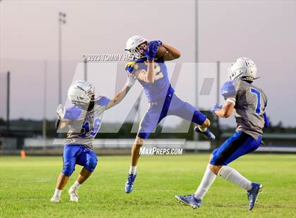 Thumbnail 3 in Brock @ Peaster photogallery.