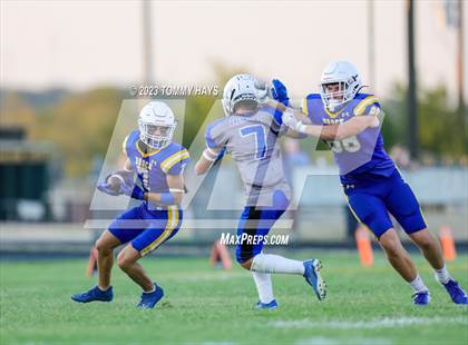 Thumbnail 1 in Brock @ Peaster photogallery.