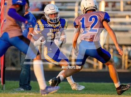 Thumbnail 3 in Brock @ Peaster photogallery.