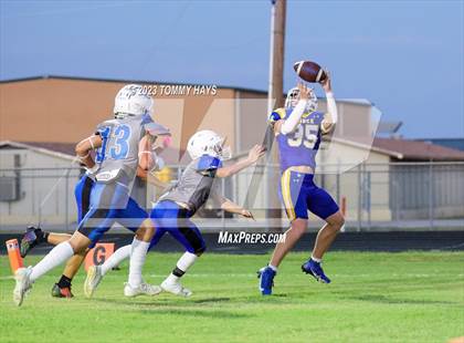 Thumbnail 1 in Brock @ Peaster photogallery.