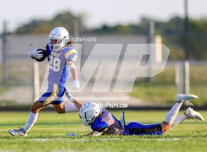 Thumbnail 3 in Brock @ Peaster photogallery.