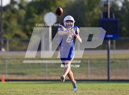 Thumbnail 1 in Brock @ Peaster photogallery.