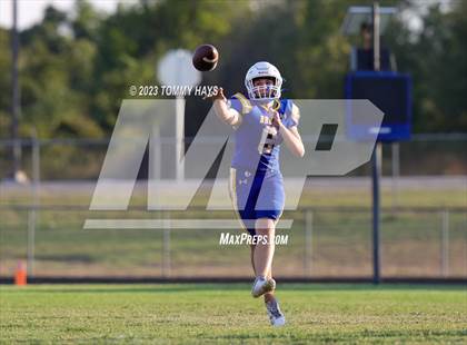 Thumbnail 3 in Brock @ Peaster photogallery.
