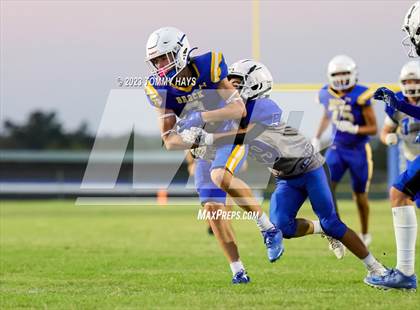 Thumbnail 1 in Brock @ Peaster photogallery.
