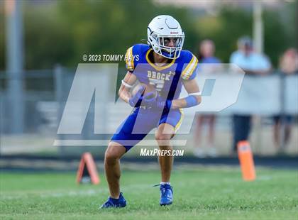 Thumbnail 2 in Brock @ Peaster photogallery.