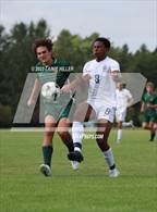 Photo from the gallery "Bemidji @ Sauk Rapids-Rice"