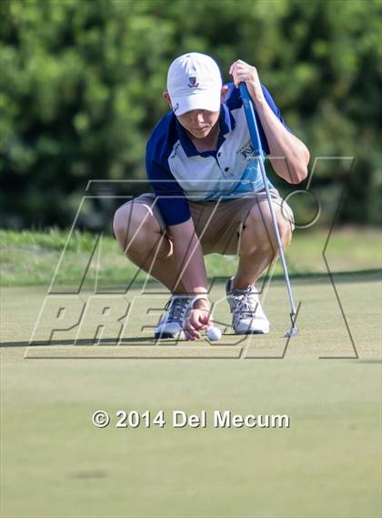 Thumbnail 2 in Newsome vs. Durant vs. Freedom photogallery.