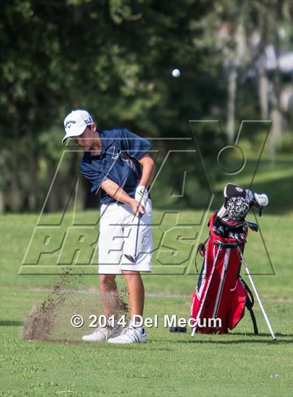 Thumbnail 3 in Newsome vs. Durant vs. Freedom photogallery.