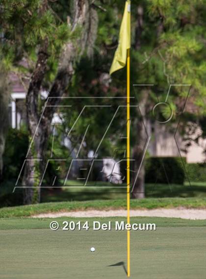 Thumbnail 3 in Newsome vs. Durant vs. Freedom photogallery.