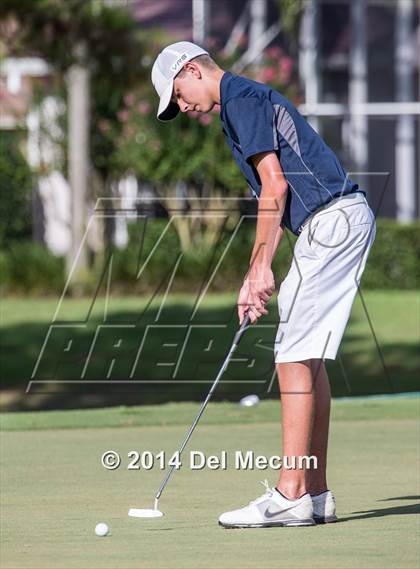 Thumbnail 2 in Newsome vs. Durant vs. Freedom photogallery.