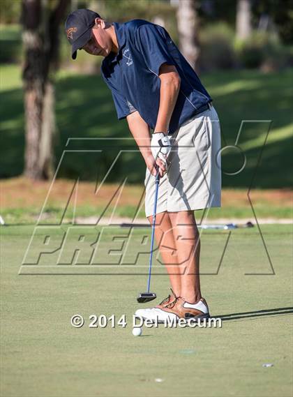 Thumbnail 1 in Newsome vs. Durant vs. Freedom photogallery.