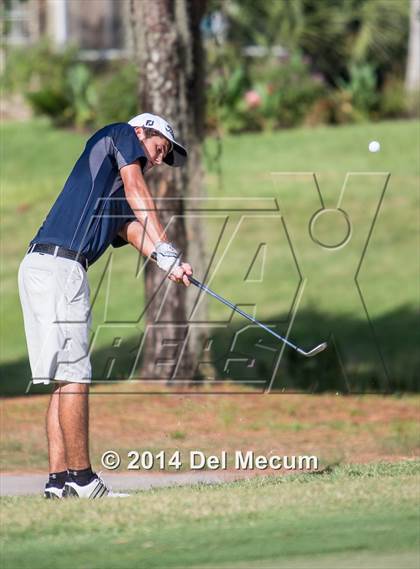 Thumbnail 3 in Newsome vs. Durant vs. Freedom photogallery.