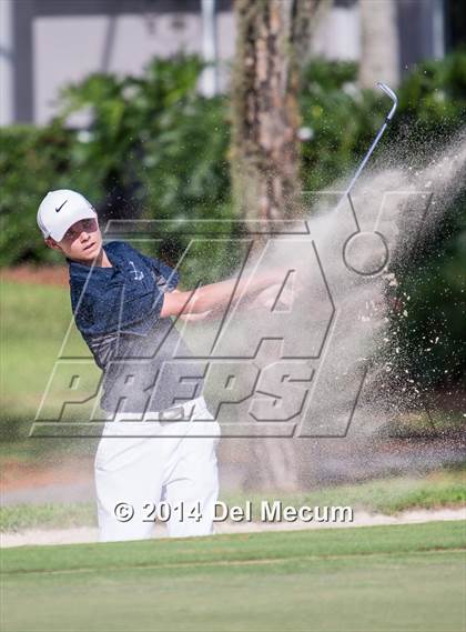 Thumbnail 1 in Newsome vs. Durant vs. Freedom photogallery.