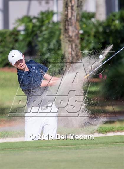 Thumbnail 3 in Newsome vs. Durant vs. Freedom photogallery.