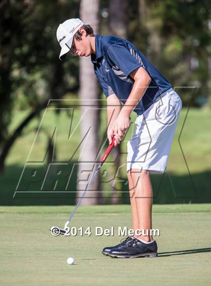 Thumbnail 3 in Newsome vs. Durant vs. Freedom photogallery.