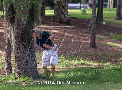 Thumbnail 1 in Newsome vs. Durant vs. Freedom photogallery.