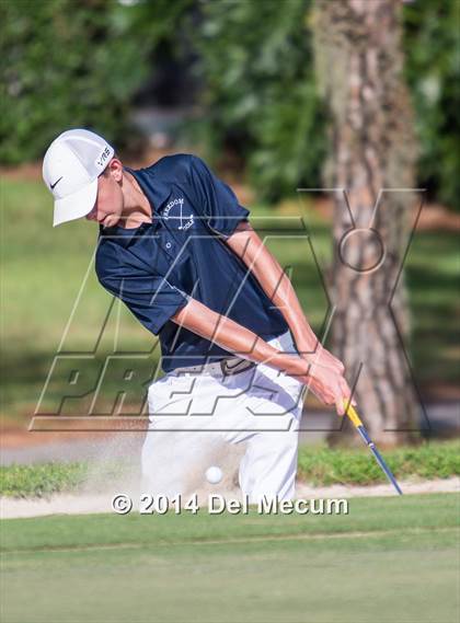 Thumbnail 1 in Newsome vs. Durant vs. Freedom photogallery.