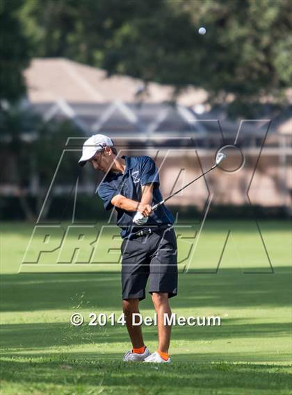 Thumbnail 3 in Newsome vs. Durant vs. Freedom photogallery.
