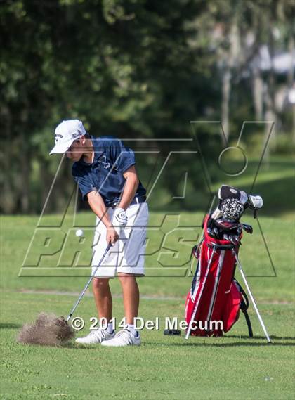 Thumbnail 2 in Newsome vs. Durant vs. Freedom photogallery.