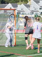 Photo from the gallery "Redwood @ Tamalpais"