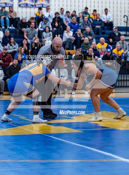 Thumbnail 1 in Shaler Area @ Hampton photogallery.