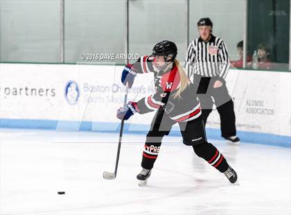 Thumbnail 3 in Wellesley @ Needham photogallery.